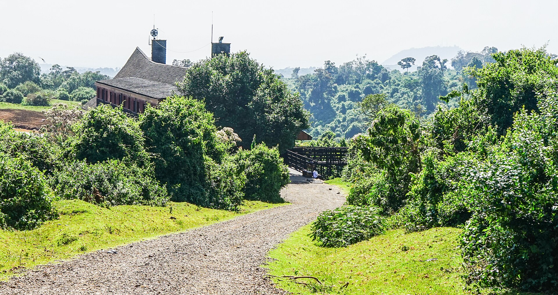 Aberdare National Park landscape in Kenya