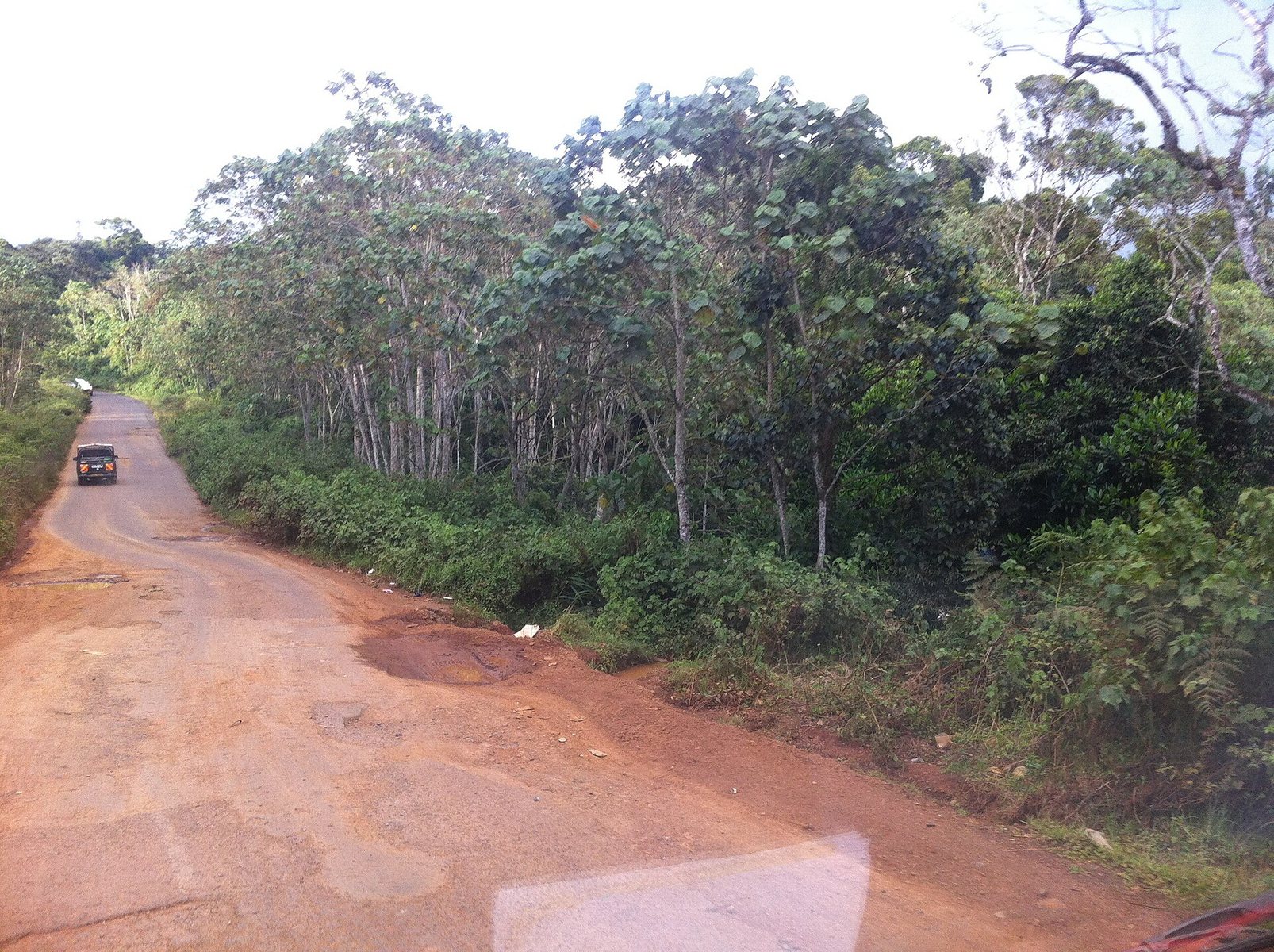 Forested highlands in Aberdare National Park